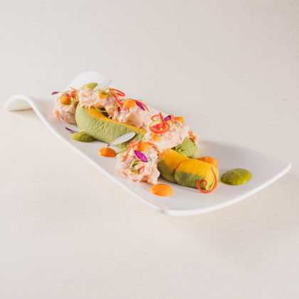 CAUSA BICOLOR