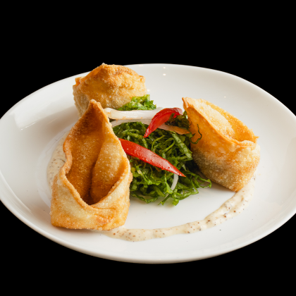 Fellas-Wonton de saice